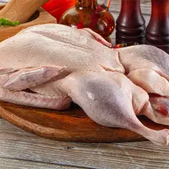 Утка