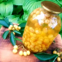 Заготовки из черешни